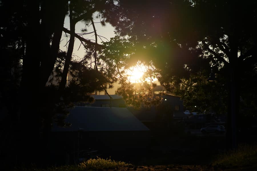 Sunrise